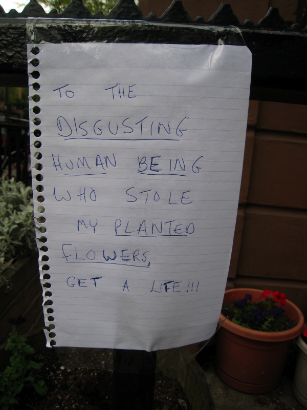 To the DISGUSTING HUMAN BEING who stole my PLANTED FLOWERS, get a life!!!