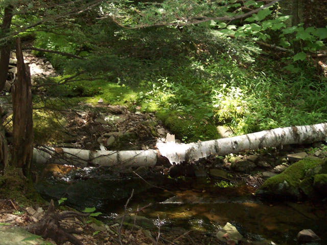 brook