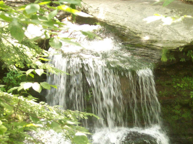 mary's glen falls