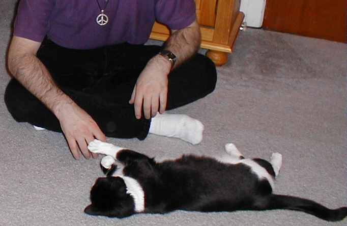 molly-chris