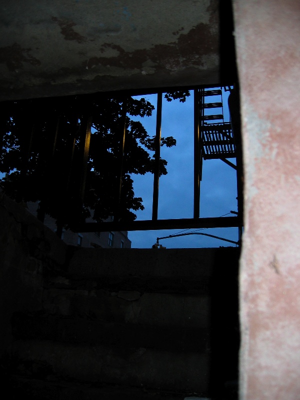 Looking up at the street, from the basement