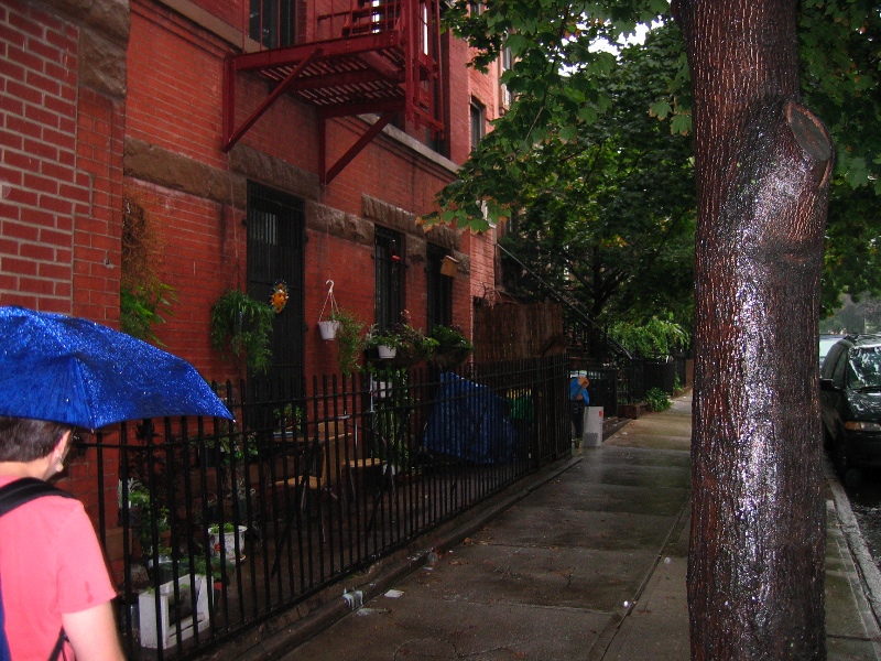 Plants like the rain