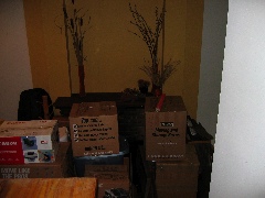 Lots o' boxes; half-wall goes here