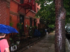 Plants like the rain