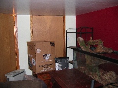 W/D & storage/plumbing closets