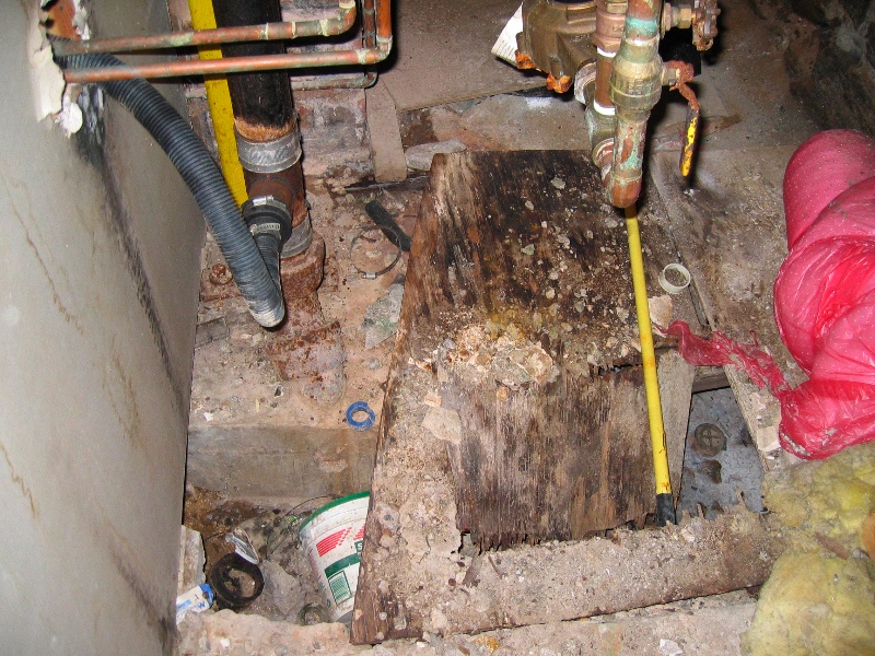 Hole in floor fascinates Julia