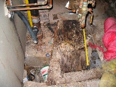 Hole in floor fascinates Julia