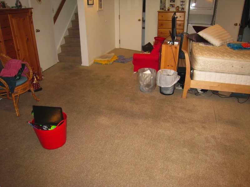 half the rug is wet