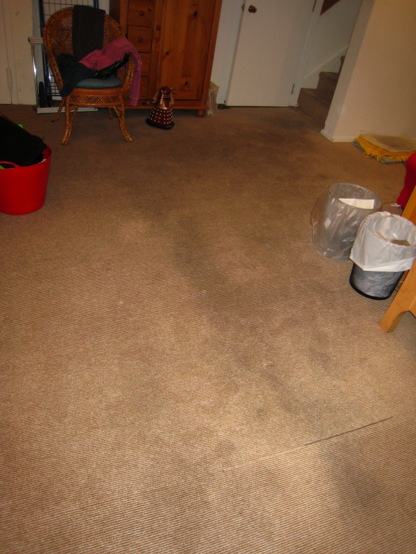 soggy rug