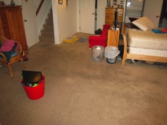 half the rug is wet