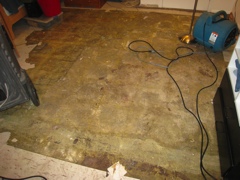 ugly old tiles