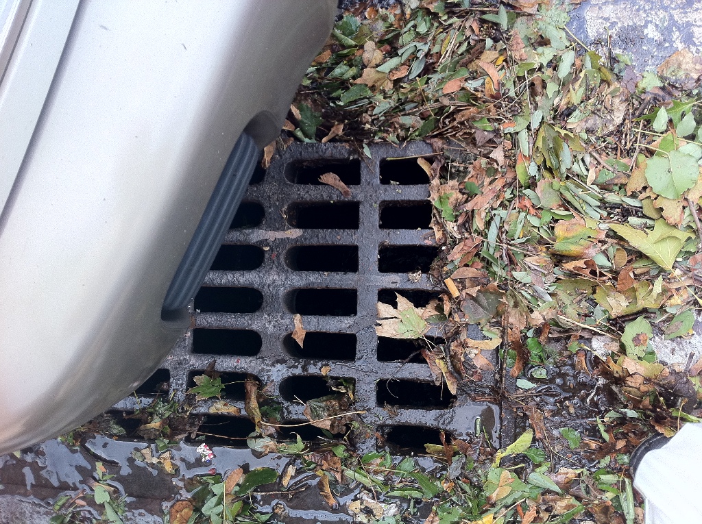 Lots of plant matter ...