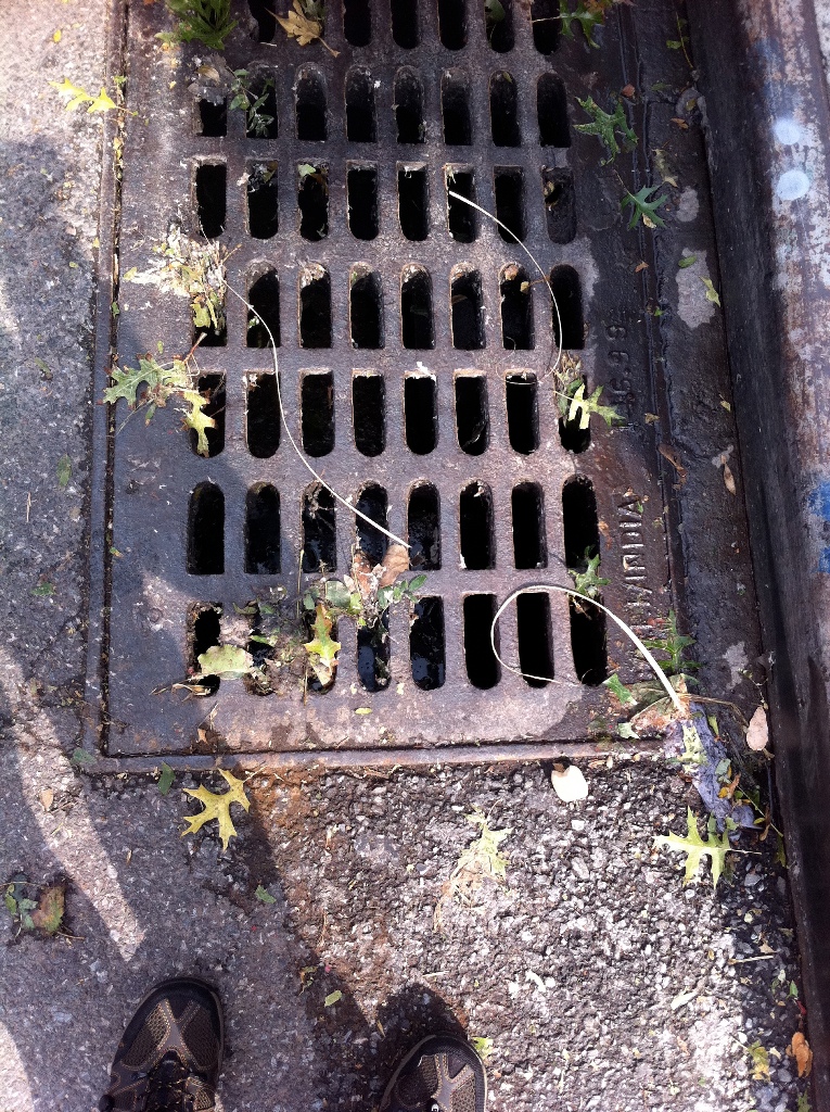 Water level should not be that high - 1