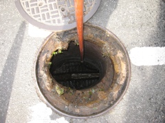 12" 5th Ave sewer (East side)