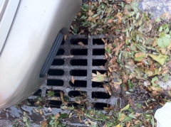 Lots of plant matter ...