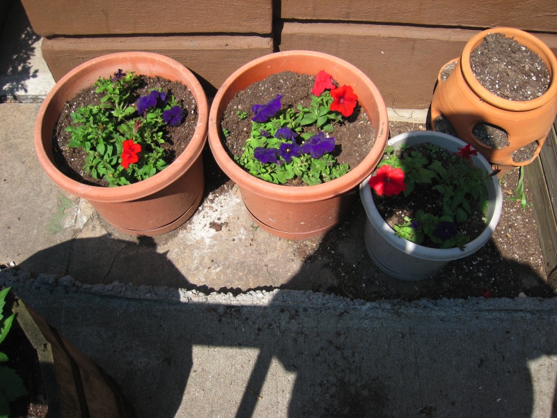 Small pots