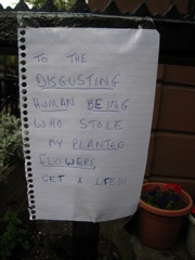 To the DISGUSTING HUMAN BEING who stole my PLANTED FLOWERS, get a life!!!
