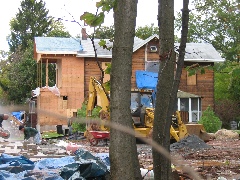 Rear aspect