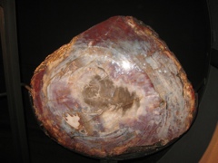 Gems & Minerals - 05