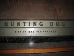 Hunting dog - 2