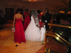 Wedding party, with Julia in the midst