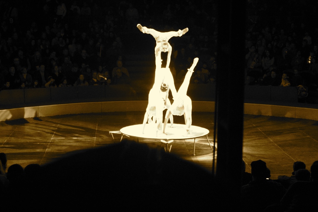 BAC 2011/01/08 - 037