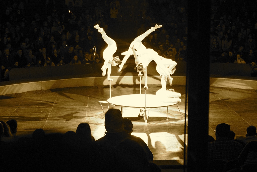 BAC 2011/01/08 - 041