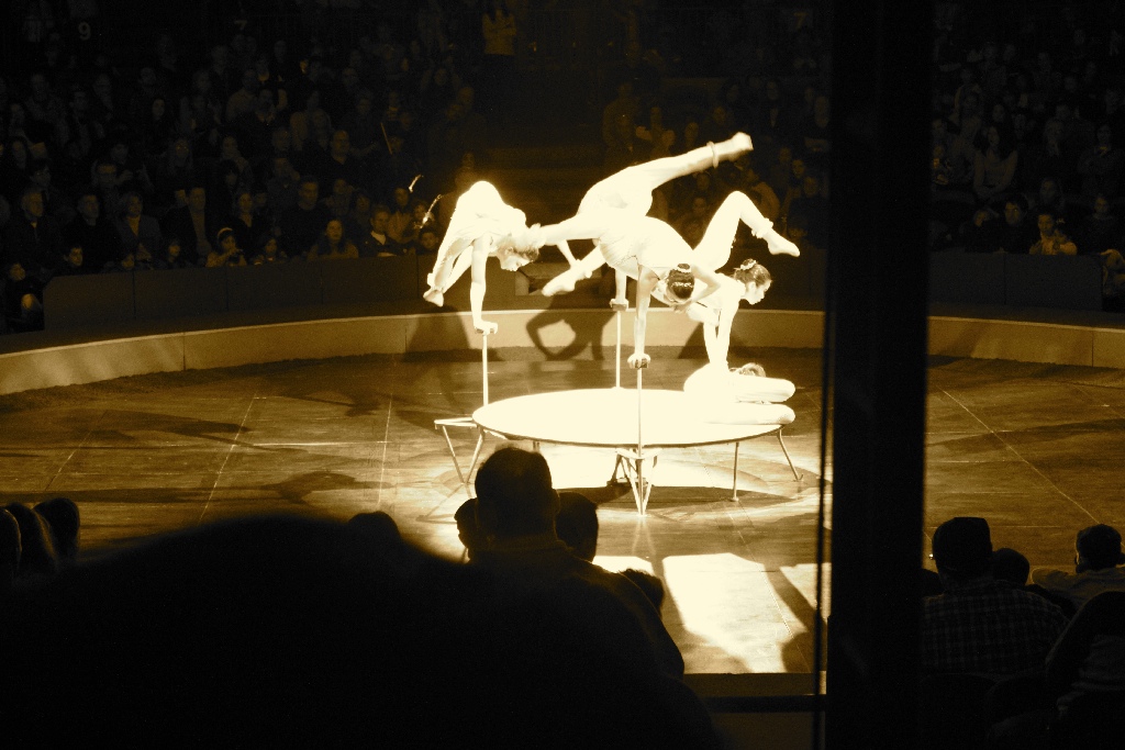 BAC 2011/01/08 - 046