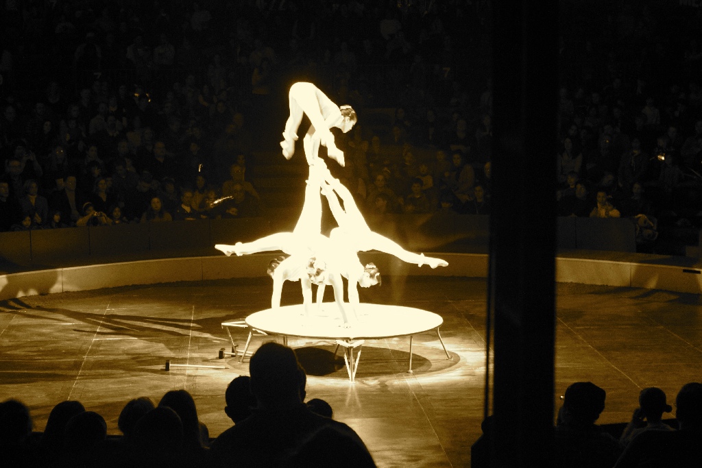 BAC 2011/01/08 - 053