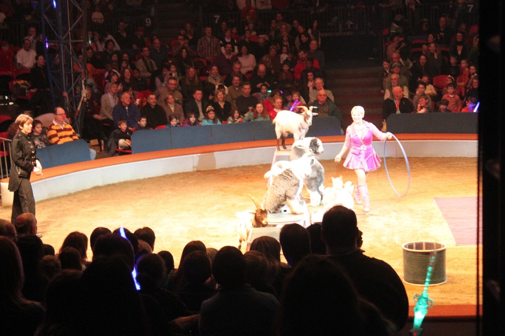 BAC 2011/01/08 - 063