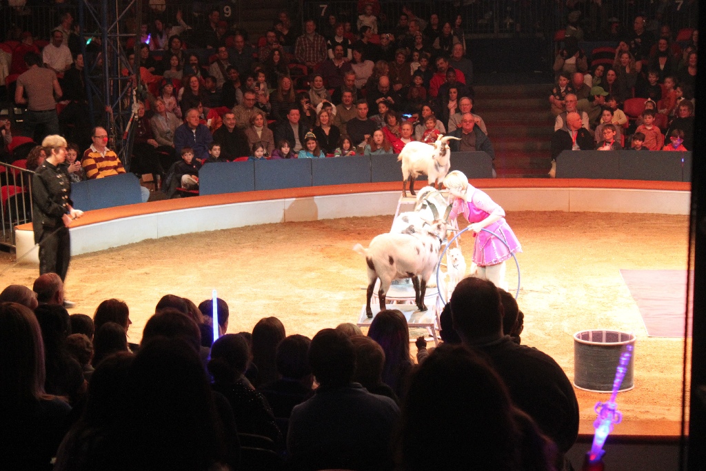 BAC 2011/01/08 - 064