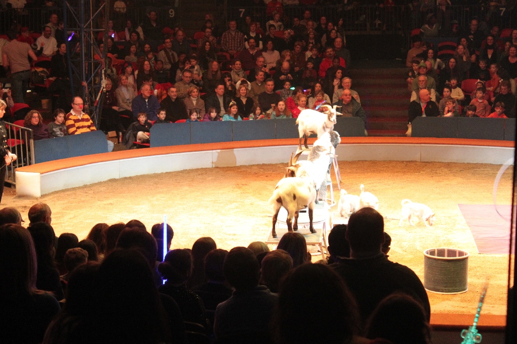 BAC 2011/01/08 - 065