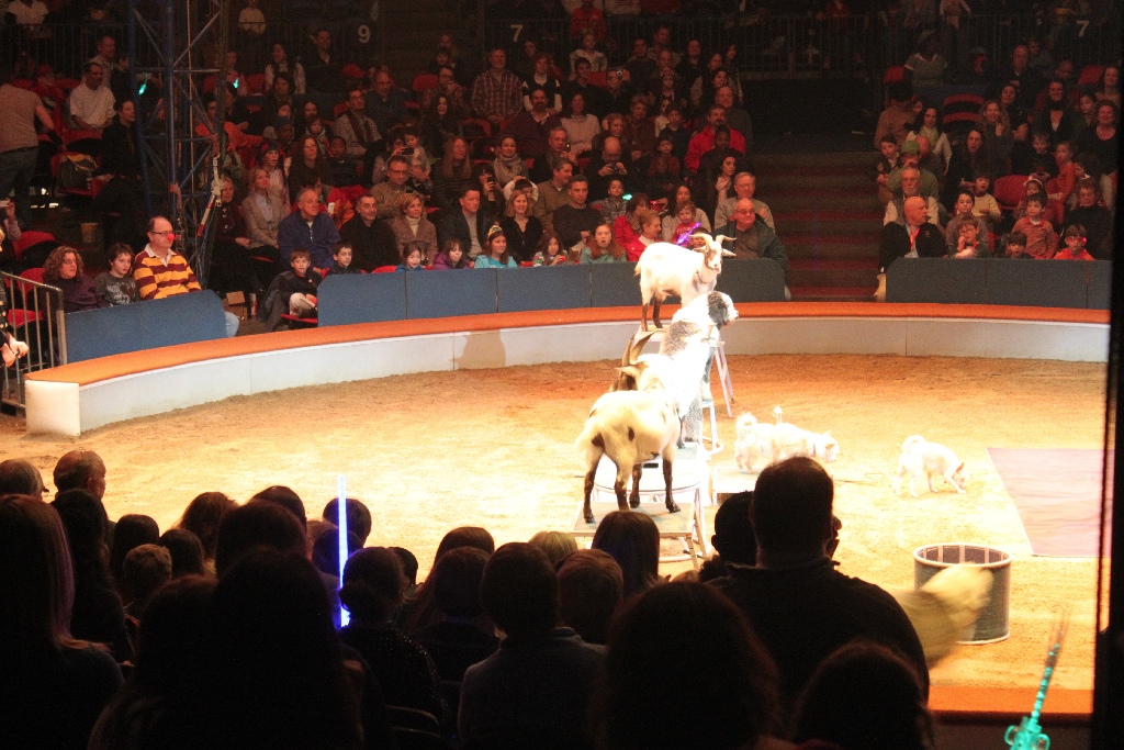 BAC 2011/01/08 - 066