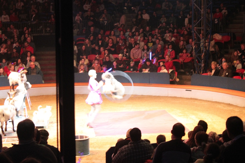 BAC 2011/01/08 - 067