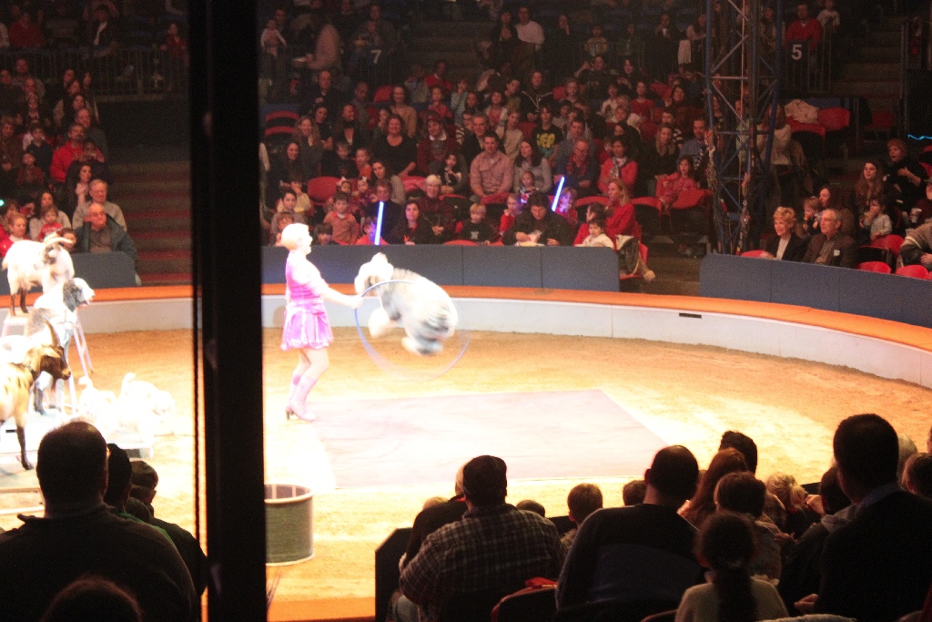 BAC 2011/01/08 - 068