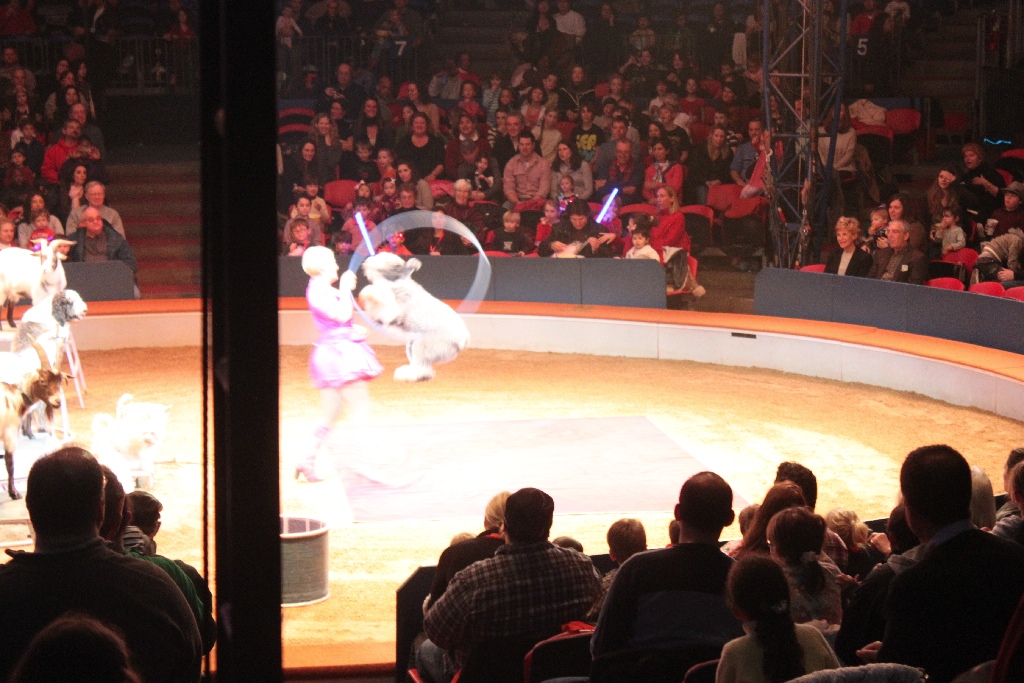 BAC 2011/01/08 - 069