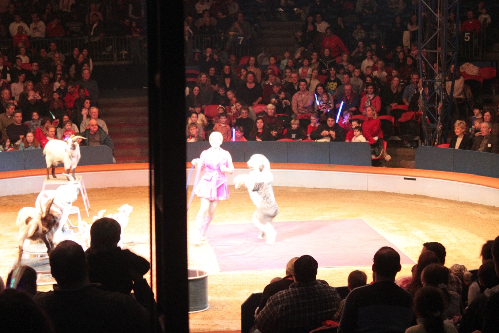 BAC 2011/01/08 - 070