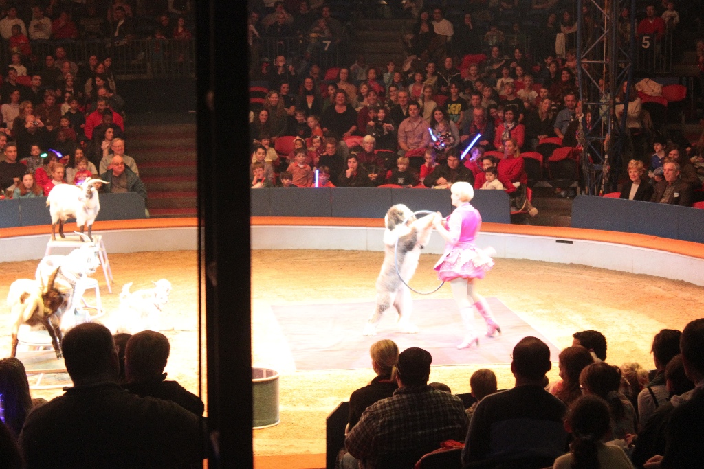 BAC 2011/01/08 - 071