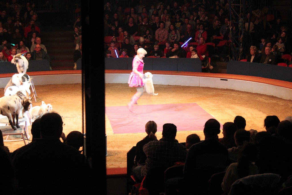 BAC 2011/01/08 - 075