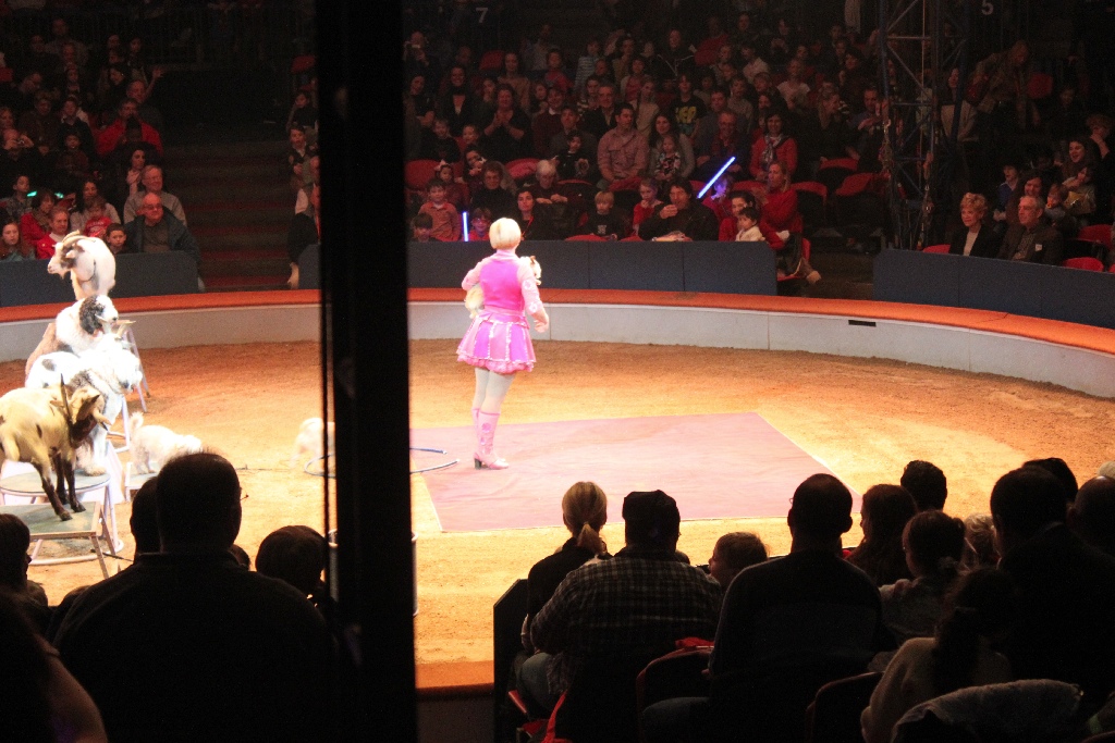 BAC 2011/01/08 - 076