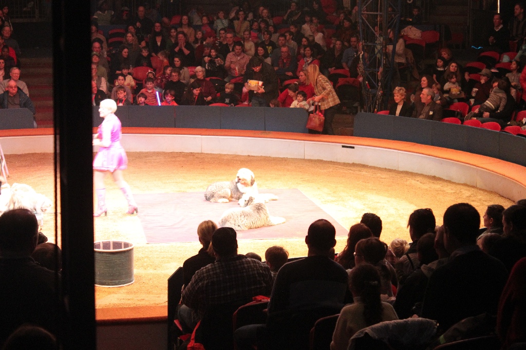 BAC 2011/01/08 - 078