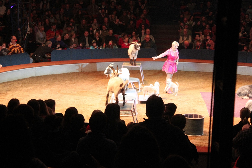 BAC 2011/01/08 - 081