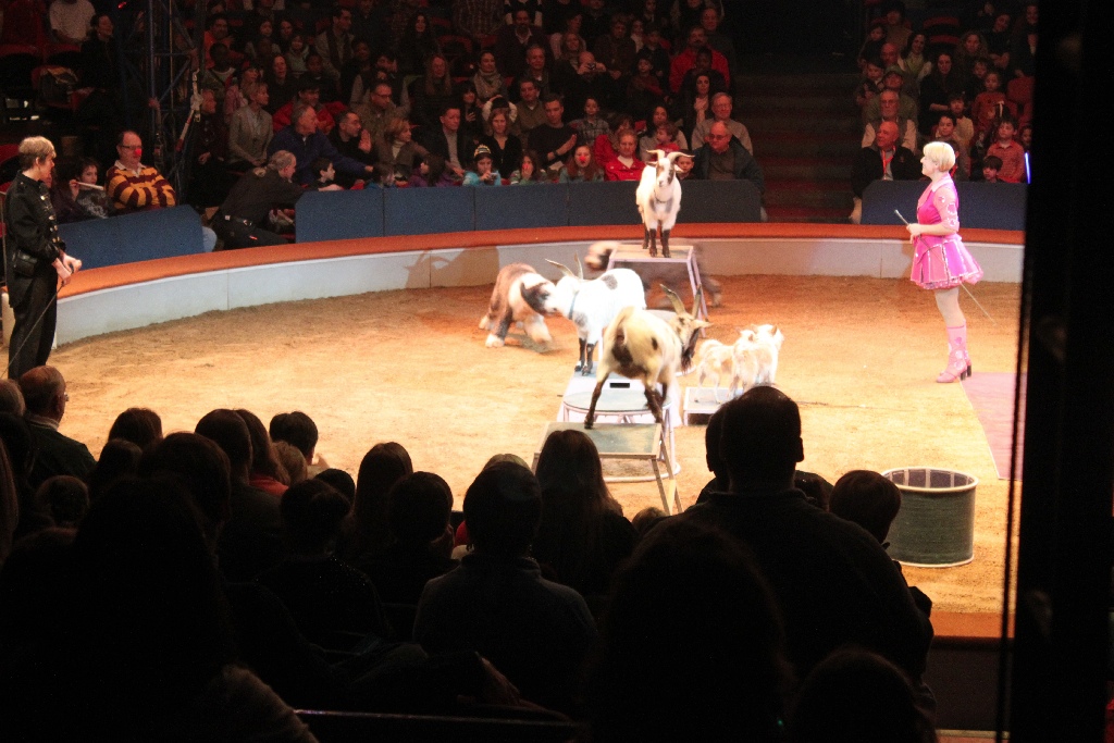 BAC 2011/01/08 - 083