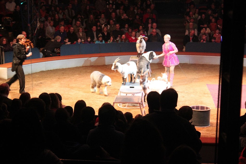 BAC 2011/01/08 - 086