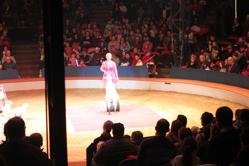 BAC 2011/01/08 - 091