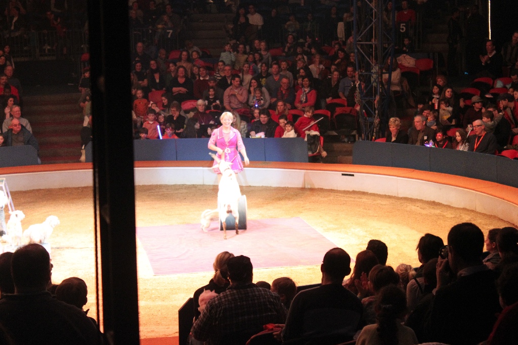 BAC 2011/01/08 - 092