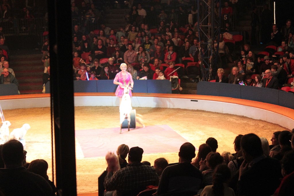 BAC 2011/01/08 - 093