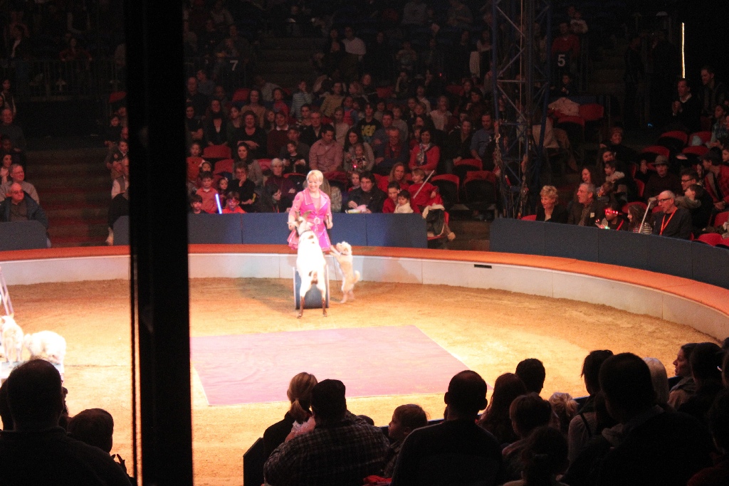 BAC 2011/01/08 - 095