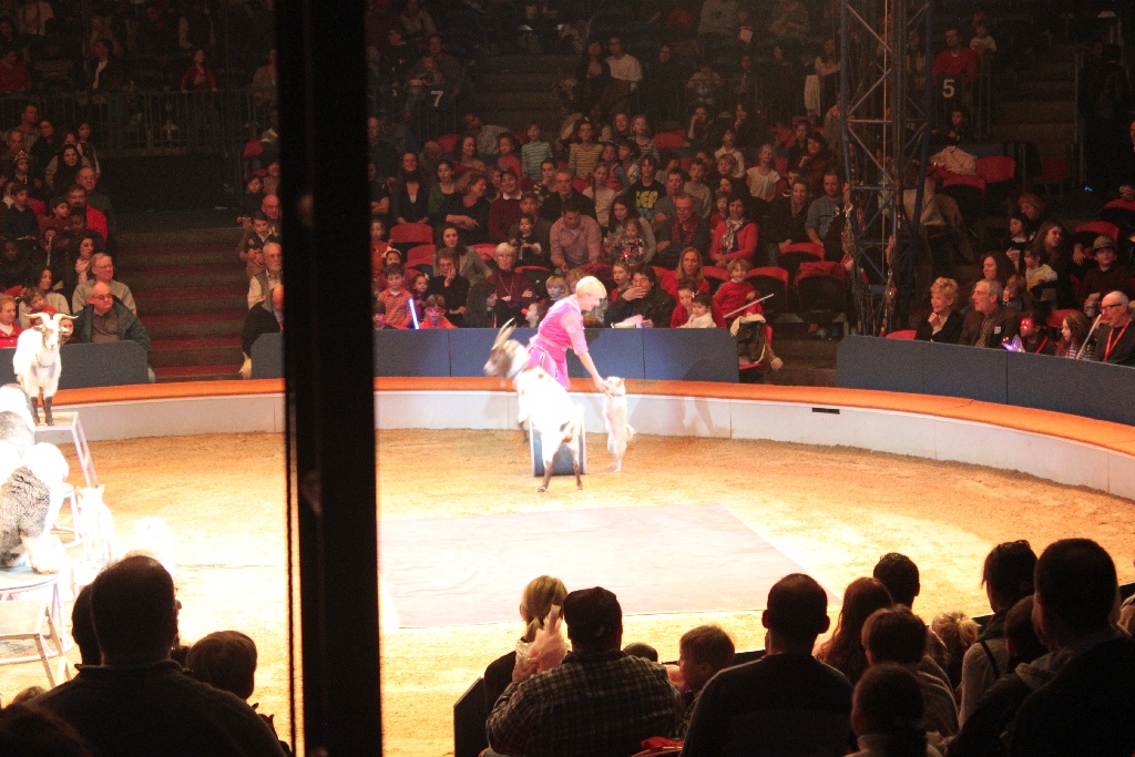 BAC 2011/01/08 - 099