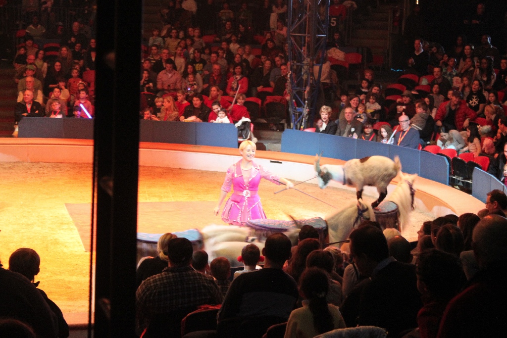 BAC 2011/01/08 - 100